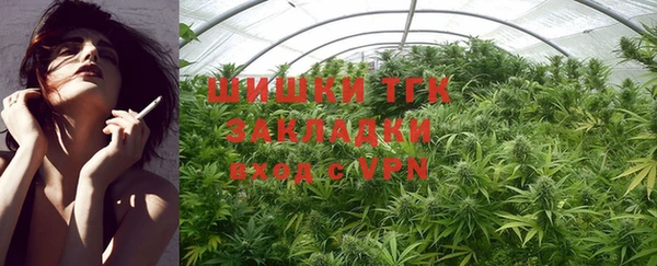 ГАЛЛЮЦИНОГЕННЫЕ ГРИБЫ Майский
