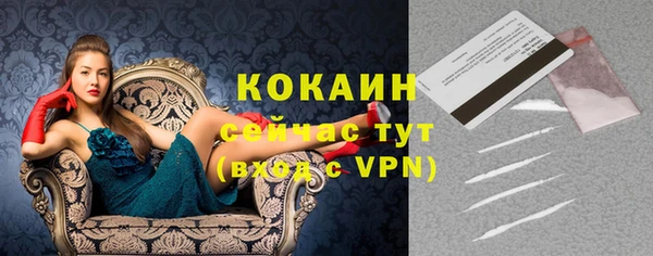 ГАЛЛЮЦИНОГЕННЫЕ ГРИБЫ Майский