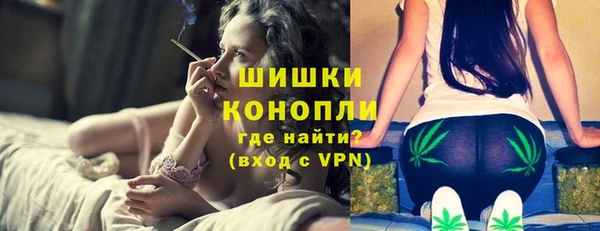 ГАЛЛЮЦИНОГЕННЫЕ ГРИБЫ Магас