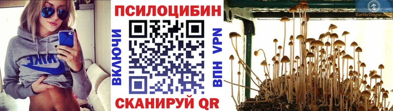 что такое наркотик  Чернушка  Псилоцибиновые грибы прущие грибы 