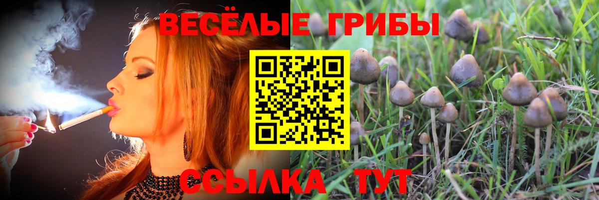 Псилоцибиновые грибы мухоморы Чернушка