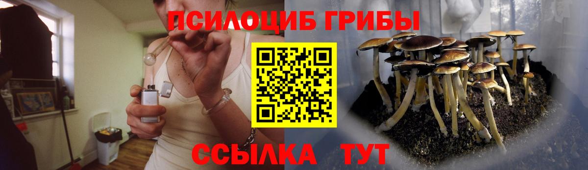 Галлюциногенные грибы Magic Shrooms  Чернушка 