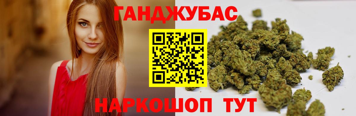 Канабис сатива Чернушка